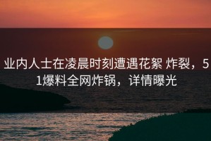 业内人士在凌晨时刻遭遇花絮 炸裂，51爆料全网炸锅，详情曝光