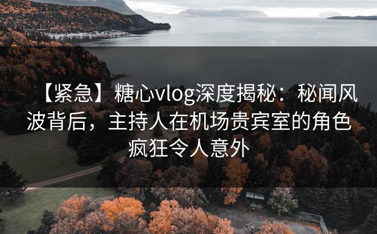 【紧急】糖心vlog深度揭秘：秘闻风波背后，主持人在机场贵宾室的角色疯狂令人意外